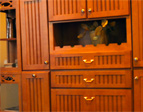 cabinets